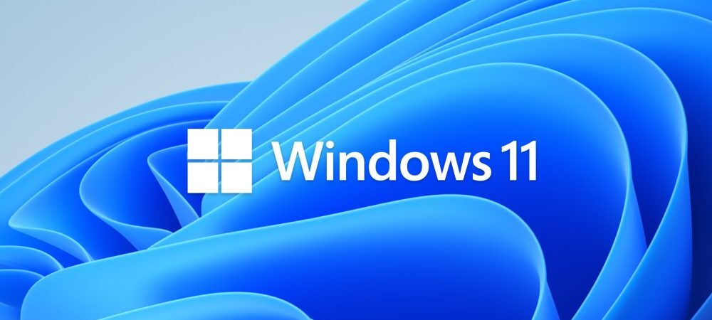 Windows 11 Logo